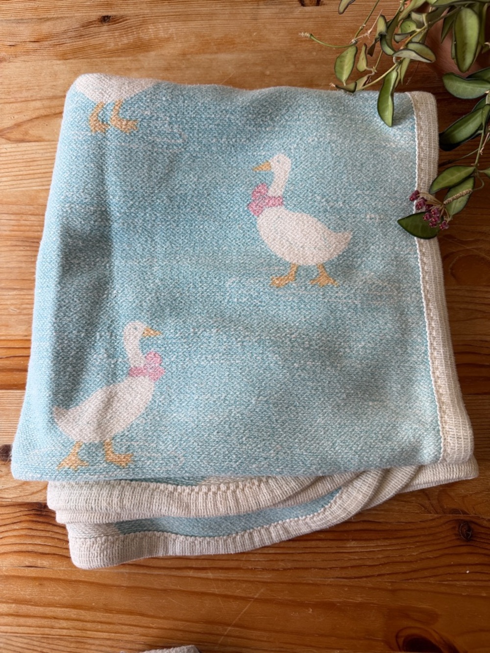 Vintage Goose Blanket